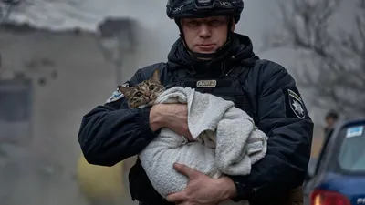 Фото лучшего полицейского Соснового Бора можно увидеть на рекламном баннере