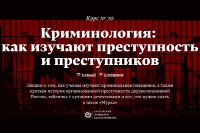 Наедине с убийцей. Об экспериментальном психологическом исследовании  преступников (Владимир Бехтерев) - купить книгу с доставкой в  интернет-магазине «Читай-город». ISBN: 978-5-90-691439-2