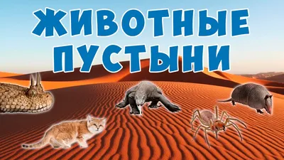 Снежная пустыня | Погода вики | Fandom