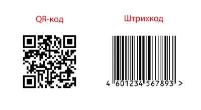 Как сканировать QR-код через телефон: обзор популярных способов и решений