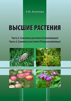 Мутации растений: Что это такое, с чем, и, главное, как это едят? | Книга  растений | Дзен