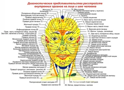 Ученые выяснили, почему прыщи есть не у всех подростков - РИА Новости,  07.03.2019