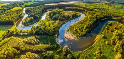 Жара высушивает реки в ФРГ