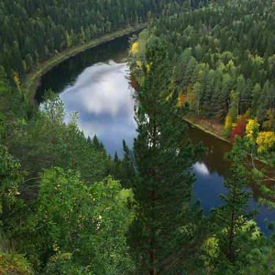 Река Киша Адыгея ЛагоНаки - фото, видео, карта, как добраться, экскурсия |  официальный сайт ARMOLA.ru