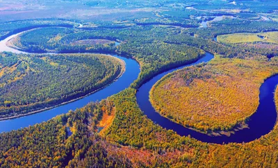 Бесплатное изображение: река, берег реки, пейзаж, лодка, осень, природа,  дерево, вода, лист, дерево