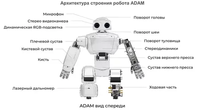 Рисунки роботов для срисовки (30 фото)