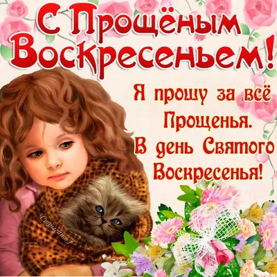 Анимационные открытки с Прощенным воскресеньем | Teddy bear, Teddy,  Character