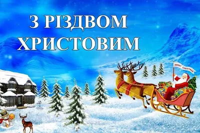 Поздравления с Рождеством - как правильно здороваться на Рождество - 24  канал - Учеба