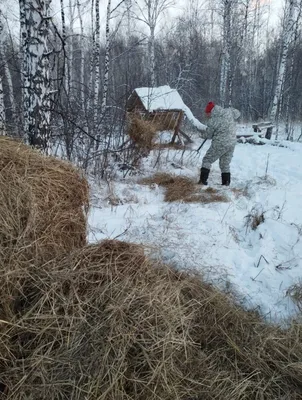 Свадебная Пара В Сеном Поле — стоковые фотографии и другие картинки  Близость - Близость, Веселье, Взаимосвязь - iStock