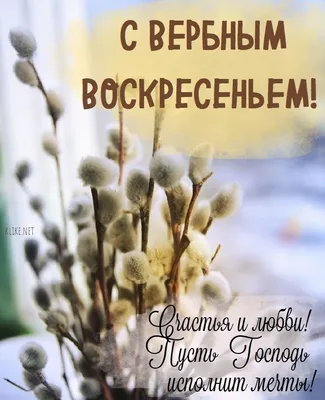 С Вербным воскресеньем: картинки и поздравления в стихах и прозе