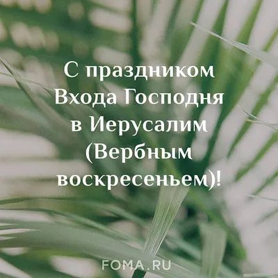 С Вербным воскресеньем: картинки и поздравления в стихах и прозе