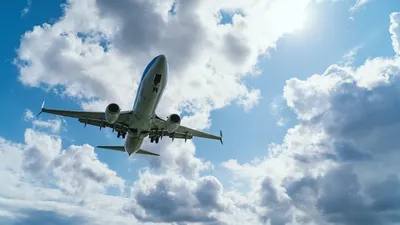 Самолет Сочи — Омск экстренно сел в Новосибирской области - 12 сентября  2023 - 72.ru