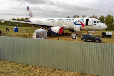 Российский парк пассажирских самолетов пополнится отечественными воздушными  судами - Российская газета