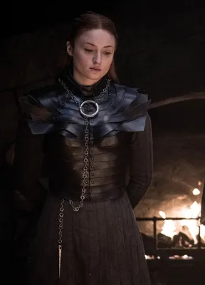 File:Sansa clip.JPG - Wikipedia