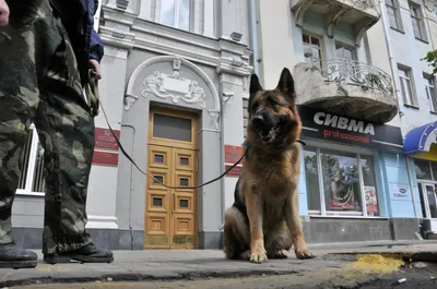 СИВМА, центр фото и печати в Курске, ул. Карла Маркса, 68, 3 этаж - фото,  отзывы 2024, рейтинг, телефон и адрес