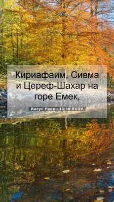 Фотосалон Сивма на Ленинском проспекте - отзывы клиентов и цены | Адрес |  Телефон - Vrn24.su