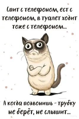 картинка с текстом :: котэ картинки :: сон :: смешные картинки (фото  приколы) / смешные картинки и другие приколы: комиксы, гиф анимация, видео,  лучший интеллектуальный юмор.