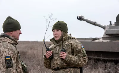 Фото снайпера в древесинах стоковое фото. изображение насчитывающей  командос - 93807762