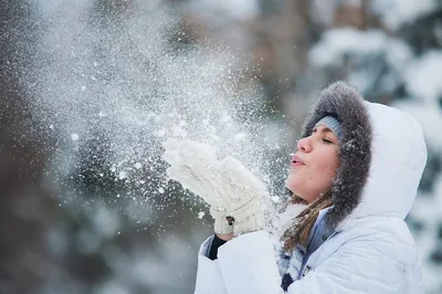 Природа зимы, падение снега Стоковое Изображение - изображение  насчитывающей климат, пуща: 46618289