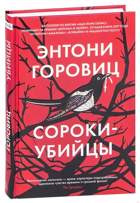 Камера зимней птичьей кормушки – сорока | Looduskalender