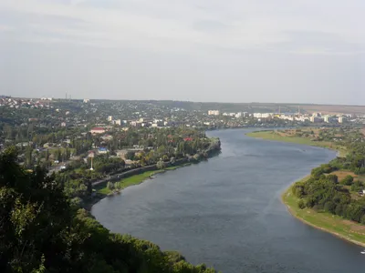 Общество сороки. Две - к радости: роман (Эми Маккаллох, Зои Сагг) - купить  книгу с доставкой в интернет-магазине «Читай-город». ISBN: 978-5-17-139044-0