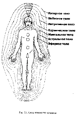 Обнаружен тела. Кроме того, портрет моделей размера. Толстые женщины в  спортивной одежды на фоне бежевой. Стоковое Изображение - изображение  насчитывающей влюбленность, кавказско: 183623651