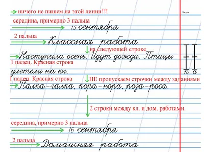 Тетради с логотипом☝ заказать печать в типографии А2 по индивидуальному  заказу