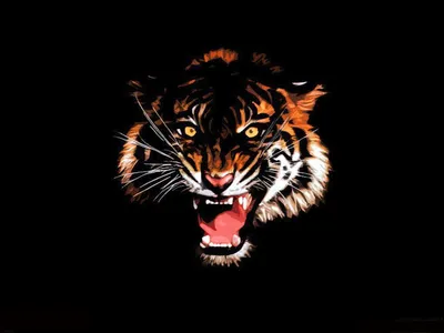 Тигры, тигрицы и тигрята - фото и обои, tigers wallpapers