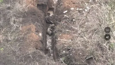 Жуткое фото. В лесополосе на Инзенской нашли труп повешенного ульяновца