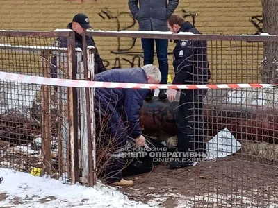 Трупы грызунов обнаружили на берегу одного из ставропольских водохранилищ  :: 1777.Ru