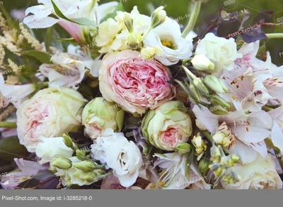 Букет из пионов разных сортов - заказать доставку цветов в Москве от Leto  Flowers