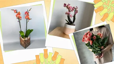Купить Букет цветов в корзине Ванильное облако с доставкой в Омске -  магазин цветов Трава
