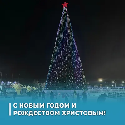 Тульская городская Дума