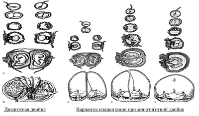 ЭКО в Южной Корее