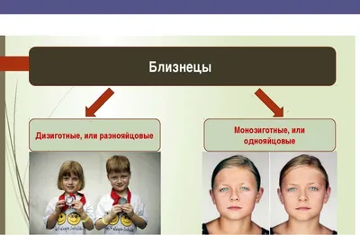 Один ребенок внутри другого: странные патологии многоплодной беременности -  Рамблер/женский