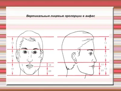 ПОРТРЕТ АНФАС – БЕЗДНА ВЫРАЗИТЕЛЬНОСТИ | ПРОШАРЕННАЯ ФОТОГРАФИЯ / Анатолий  СТРУНИН | Дзен