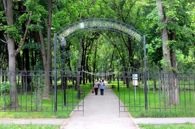 Парк Сокольники в Москве - история с описанием и фото