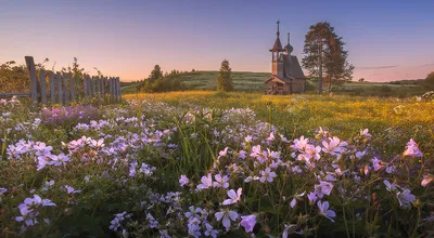 Курортный парк Адамовка, Трускавец | История, Фото, Отзывы