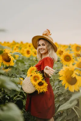 Фотосессия в подсолнухах | Fotografía de girasol, Girasoles, Fotos girasoles