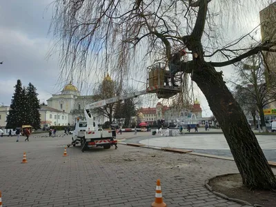 На Домбровському кар'єрі зацвіли фруктові дерева, зеленіють берези та верби.  ФОТО | ВІКНА. Новини Калуша та Прикарпаття