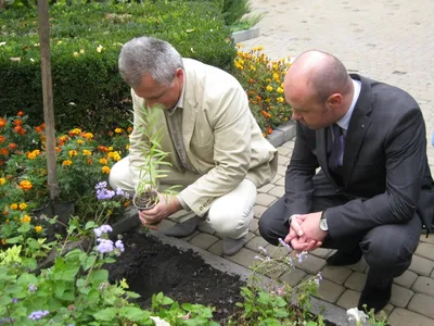 Мерседес Юлі Верби - блогерка відповіла на критику після купівлі дорого авто