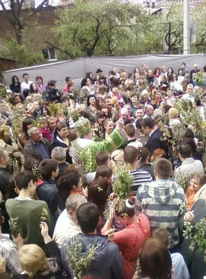 Ось така ніжна гілочка верби 🌿 На фото ще є залишки трансферу та  почервоніння, яке згодом зійде 🙌🏼 . . . . . #tattoo #tattoos #tattooed… |  Instagram