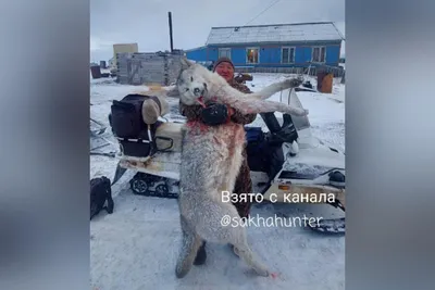 В горах в Германии засняли на фото загадочного \"человека-волка\" - TOPNews.RU