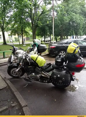 Вскрытое сердце человека - Шувалова В.В. Подробное описание экспоната,  аудиогид, интересные факты. Официальный сайт Artefact