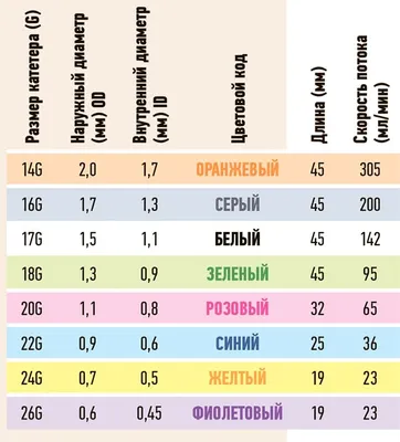 Коммуникации венозной системы человека и клапанный аппарат - Венозная  система человека - Цікава інформація медичної спрямованості - Анатомія  людини