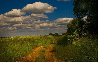 Бесплатное фото высокого разрешения, бесплатный фотобанк на русском