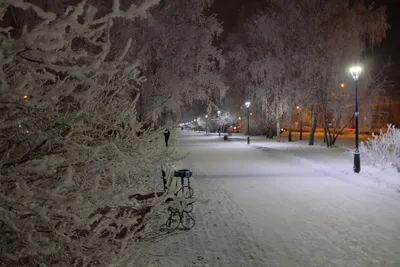 Зима, ноча в городе зимы, город зимы, зима в парке, снег Стоковое  Изображение - изображение насчитывающей пуща, напольно: 120094749