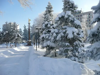 Снежные зимы в городе - красивые фото