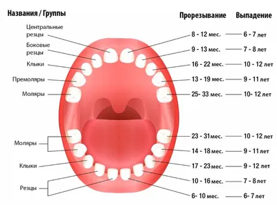 Имплантация Зубов 229 Фото До После ЛюмиДент