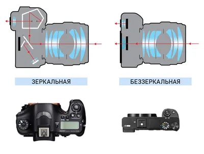 Шпаргалка для «чайников»: как настроить фотоаппарат, чтобы делать красивые  фото днем и ночью – Попасна.City